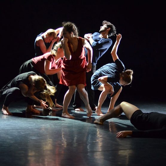 Jahrgang 2012–2015 der Contemporary Dance School Hamburg – TranZgression
