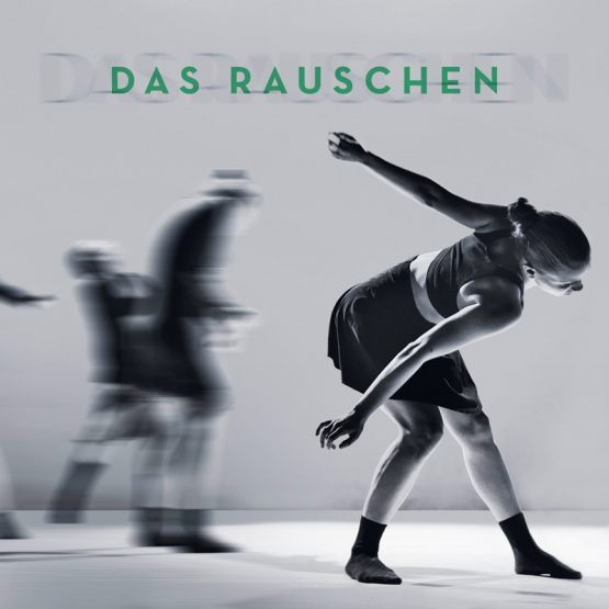 Abschlussprojekt 2017 – Das Rauschen – Contemporary Dance School Hamburg